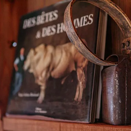 Apartment Le Des Vaches *